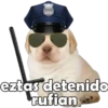 PERRITO PACK 4 11