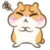 Chloe the Hamster 16