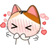Japanese kitten 15