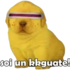 soi un kkguate!