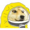 시