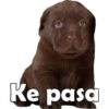 Ke pasa