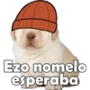 PERRITO PACK 13 15