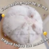 Amorcitos 18