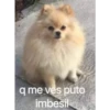 q me ves puto
imbesil