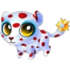 Animalitos Cute 16