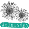 Semana♡Week 16