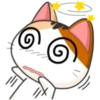 Japanese kitten 17