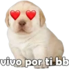 vivo por ti bb