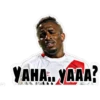 YAHA..YAAA?
