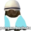 pongan bachata