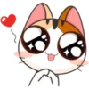 Japanese kitten 18
