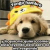 Amorcitos 21