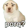 Perros 6