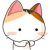 Japanese kitten 19