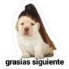 Perros 7