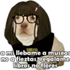 PERRITO PACK 13 18