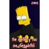 simpson 14