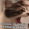 Amorcitos 22