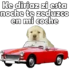 Ke diriaz zi esta
noche te zeduzco
en mi coche