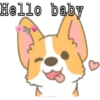 Perritos ?? 16