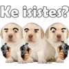 Ke isistes?
Co