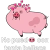 No pued• con tanta belleza