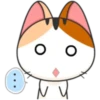 Japanese kitten 20