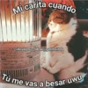 Amorcitos 23