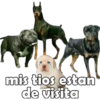 PERRITO PACK 13 20