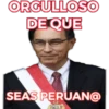 Vizcarra 18