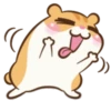 Chloe the Hamster 21