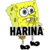 Bob Esponja 20