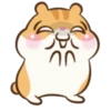 Chloe the Hamster 22