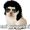 PERRITO PACK 4 16