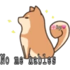 Perritos ?? 17