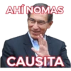 Vizcarra 20