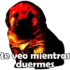 PERRITO PACK 4 17