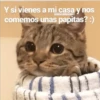 Amorcitos 25
