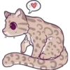 animalitos 18