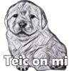 PERRITO PACK 4 18
