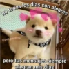 Amorcitos 26
