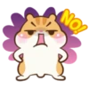 Chloe the Hamster 23