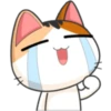 Meow For Mishell 2. 16
