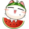 Japanese kitten 22
