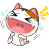 Japanese kitten 23
