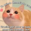 Amorcitos 28