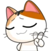 Meow For Mishell 2. 17
