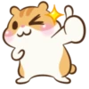 Chloe the Hamster 24