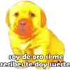 soy de oro si me
recibes te doy suerte